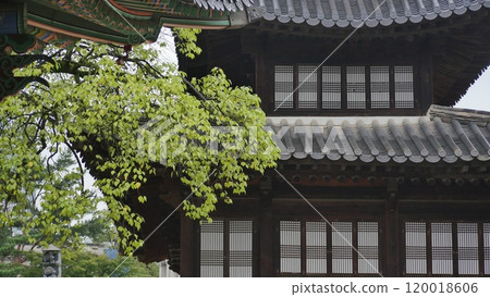 korea ancient palace korea ancient palace 120018606