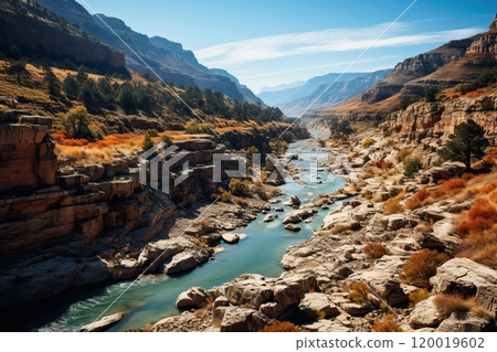 River and canyon, looking from top to bottom - bird's eye view 120019602