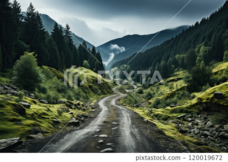 A dirt road in the forest with a mountain horizon. A dirt road in the forest with a mountain horizon. 120019672