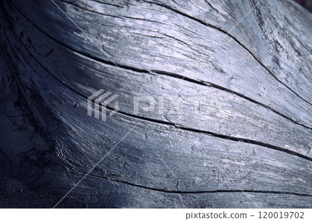 organic lines texture over a wood trunk 120019702