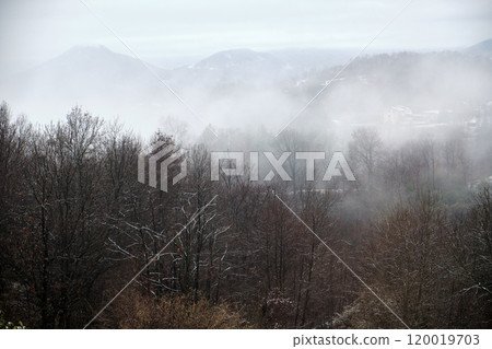 the fog descends downstream through the woods of the mountains 120019703