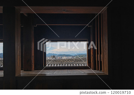 Kochi Castle 120019710