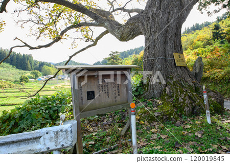 "Yasui Harigiri" Autumn, Kuroishi City, Aomori Prefecture 120019845