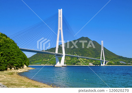 Shimanami Kaido - Tatara Bridge (Onomichi City, Hiroshima Prefecture) Shimanami Kaido - Tatara Bridge (Onomichi City, Hiroshima Prefecture) 120020270