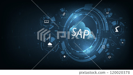 SAP concept. 120020378