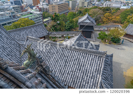 高知城 從天守閣看到主圍牆和城堡內部 120020396