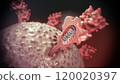 3D Rendering of mRNA Vaccine Interaction with Virus 120020397