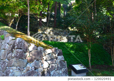 The ruins of Azuchi Castle The ruins of Azuchi Castle 120020491