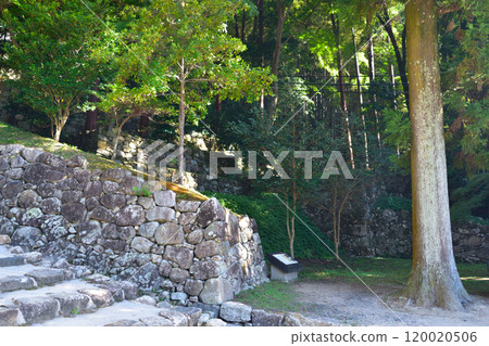 The ruins of Azuchi Castle 120020506