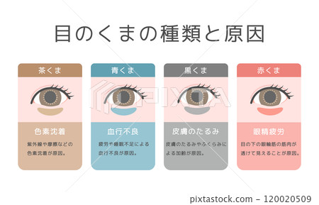 眼熊類型插圖集 眼熊類型插圖集 120020509