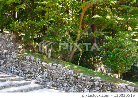 The ruins of Azuchi Castle 120020519
