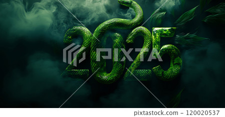 Snake coils around 2025 in fog Snake coils around 2025 in fog 120020537