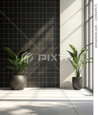 Elegant plants by a sunlit tiled wall 120020571