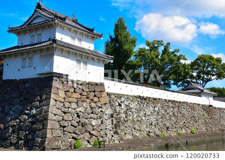 Oita Prefecture Castle 120020733