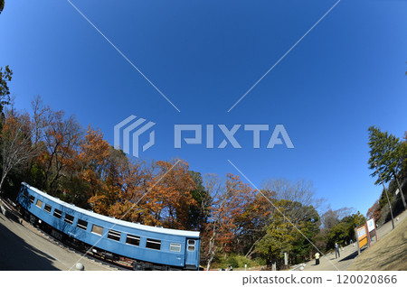 生田綠地的秋景 120020866