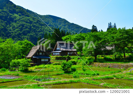 Early summer: Gokayama Ainokura Gassho Village 120021001