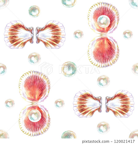 Pattern of scallop, bivalve marine mollusk, grooved shell with pearls in watercolor. Red Scallop, Calico Scallop, Argopecten Gibbus. This shell's side is concave in shape. Circular shaped with Pattern of scallop, bivalve marine mollusk, grooved shell with pearls in watercolor. Red Scallop, Calico Scallop, Argopecten Gibbus. This shell's side is concave in shape. Circular shaped with 120021417