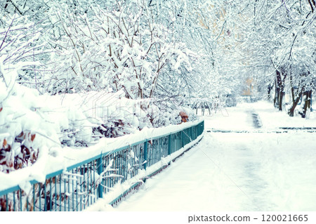 winter street in the snow. place for text 120021665