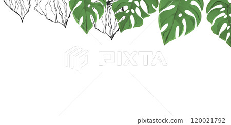 Floral frame with colorful exotic branches on white background. Ornate border with tropic leaves. Vector stock illustration for wallpaper, posters, card. Doodle style. Copy space Floral frame with colorful exotic branches on white background. Ornate border with tropic leaves. Vector stock illustration for wallpaper, posters, card. Doodle style. Copy space 120021792