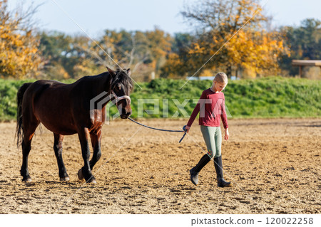 Young little teenager kid girl leading chestnut horse through stable ranch yard. Horse riding school exercise. Cute little beginner blond girl kid near beautiful brown horse. Equine hobby or work Young little teenager kid girl leading chestnut horse through stable ranch yard. Horse riding school exercise. Cute little beginner blond girl kid near beautiful brown horse. Equine hobby or work 120022258