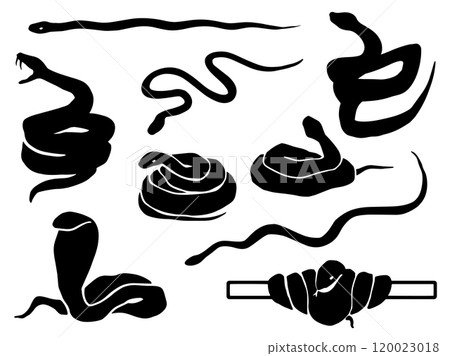 Snake silhouette illustration set 120023018