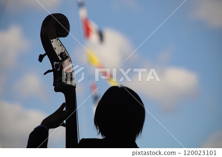 Shadow of a double bass player 120023101