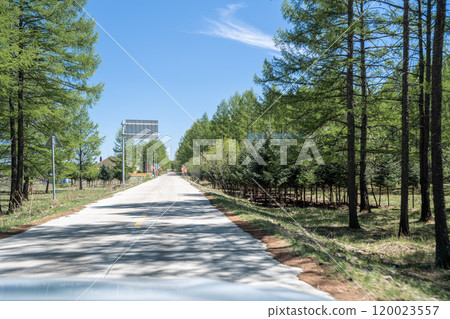Inner Mongolia 120023557