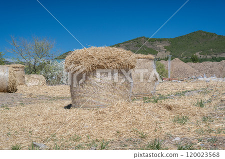 Inner Mongolia 120023568
