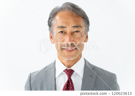 Business senior male portrait Business senior male portrait 120023613