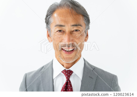 商務高級男性肖像 120023614
