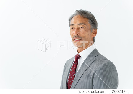 商務高級男性肖像 120023763