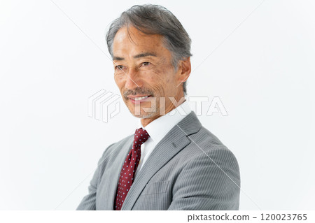 Business senior male portrait Business senior male portrait 120023765