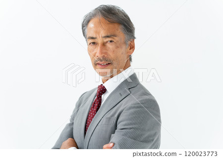 Business senior male portrait 120023773