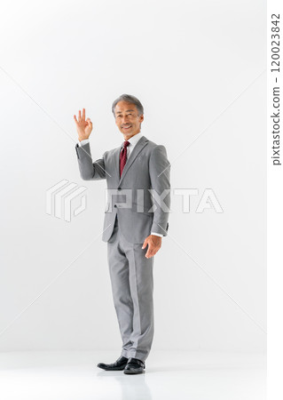 Businessman portrait full body OK Businessman portrait full body OK 120023842