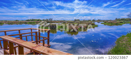 Tablas de Daimiel National Park, Spain 120023867