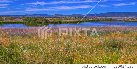 Tablas de Daimiel National Park, Spain Tablas de Daimiel National Park, Spain 120024153