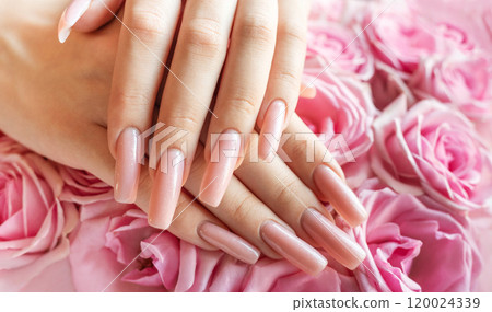 Elegant hands with long, polished nails surrounded by fresh pink roses in a soft, romantic setting 120024339