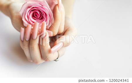 A person with long pink nails gently holding a soft pink rose against a light background A person with long pink nails gently holding a soft pink rose against a light background 120024341