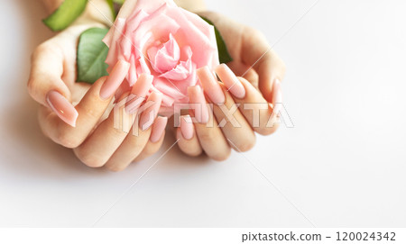 A person with long pink nails gently holding a soft pink rose against a light background A person with long pink nails gently holding a soft pink rose against a light background 120024342