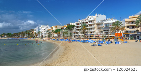 Beech of Puerto de Pollensa, Spain 120024623