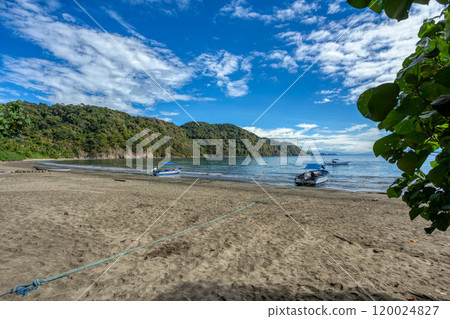Playa in Curu Wildlife Reserve, Costa Rica wildlife. 120024827
