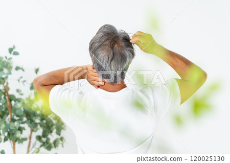 Man who cares about his hair, hair care, back view Man who cares about his hair, hair care, back view 120025130