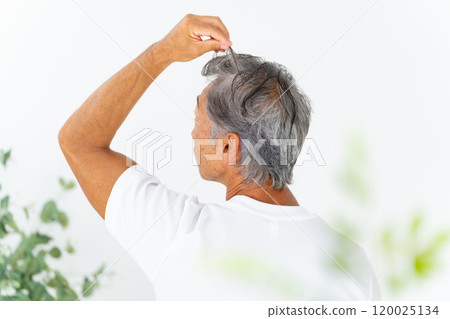 Man who cares about his hair, hair care, back view 120025134
