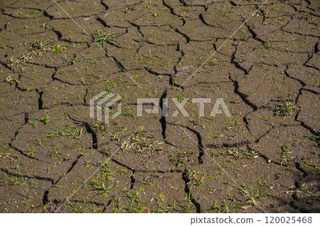 秋天的地面開裂 120025468