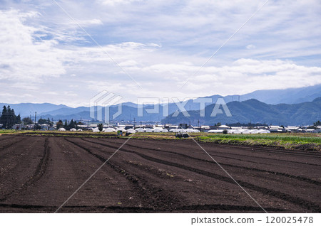農田和許多乙烯基溫室的風景 農田和許多乙烯基溫室的風景 120025478