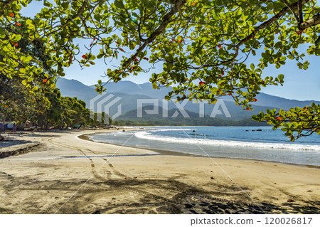 View of Castelhanos Beach on Ilhabela View of Castelhanos Beach on Ilhabela 120026817
