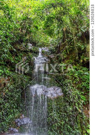 Waterfall among the rainforest 120026818