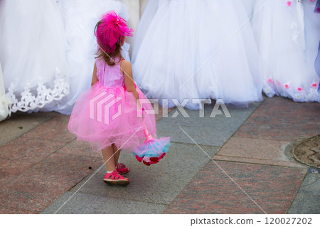 Little girl at the wedding Little girl at the wedding 120027202