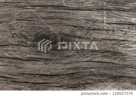 Old knotted wood grain showing texture and pattern Karlin, Prague 120027374