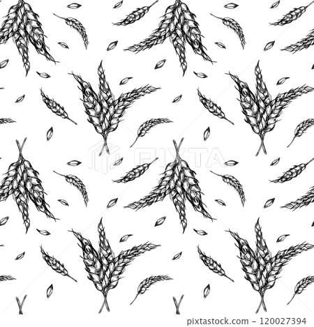 Bunch of wheat ears on stem black white graphic vector seamless pattern isolated. Repeated botanical texture of spikelet rye, barley monochrome hand drawn by ink for design bakery, natural product. 120027394
